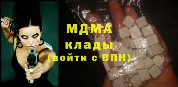 прущие грибы Верея