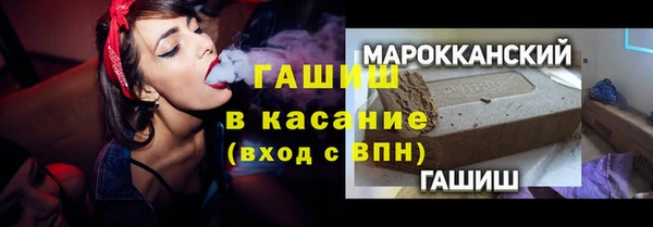 прущие грибы Верея