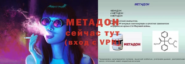 прущие грибы Верея
