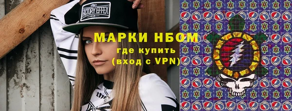 прущие грибы Верея