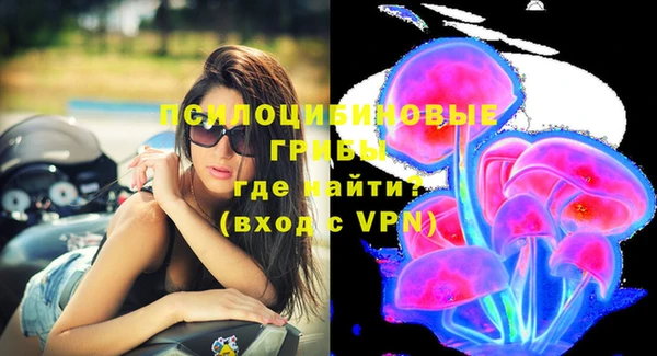 прущие грибы Верея