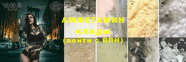 прущие грибы Верея