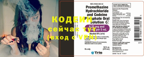 прущие грибы Верея