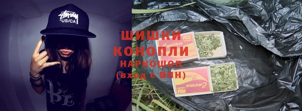 прущие грибы Верея