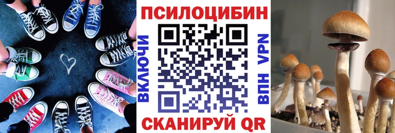 Галлюциногенные грибы MAGIC MUSHROOMS  Купить где  Приморско-Ахтарск 